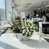 مبروك الافتتاح