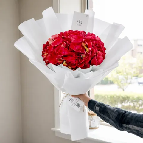 هدرينجا أحمر رقم.6267