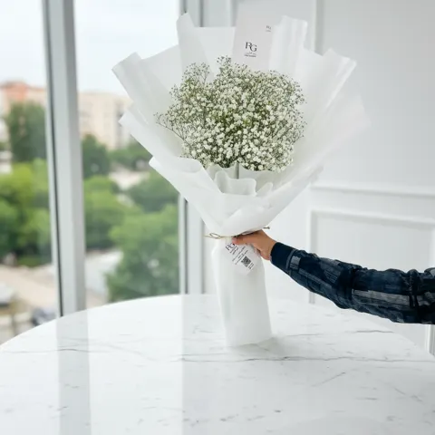 جبسوفيليا رقم.5034