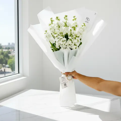ماتيولا بيضاء رقم.14235