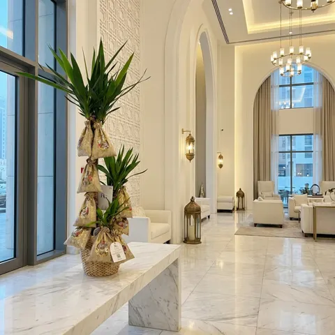نبات اليوكا مع قرقيعان رقم.26767