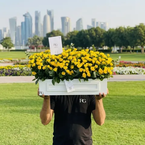 بوكس ورد رقم.11619