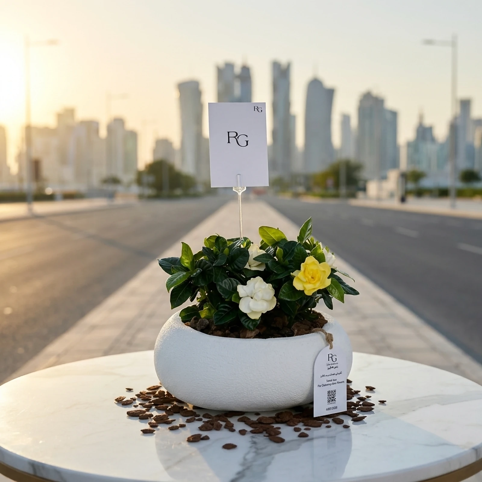 نبات الجاردينيا رقم.22346